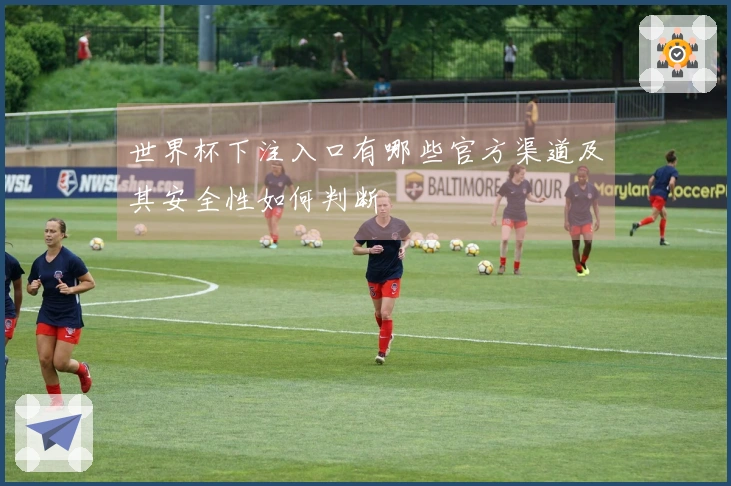 世界杯下注入口有哪些官方渠道及其安全性如何判断