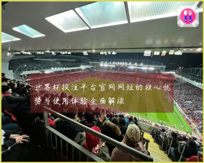 世界杯投注平台官网网址的核心优势与使用体验全面解读