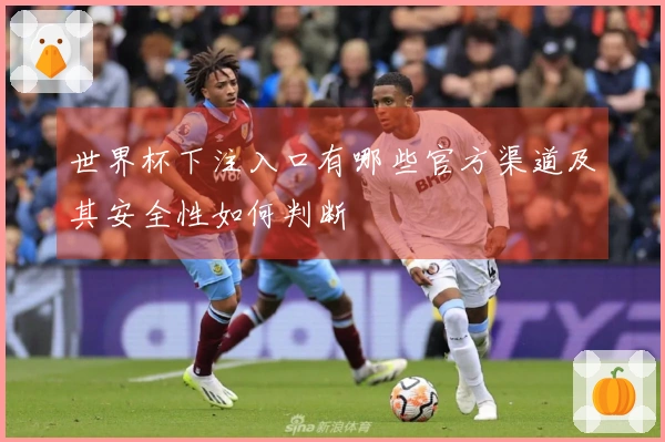 世界杯下注入口有哪些官方渠道及其安全性如何判断