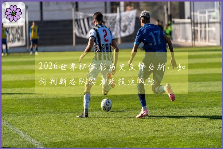 2026世界杯体彩历史交锋分析，如何判断各队实力及投注风险