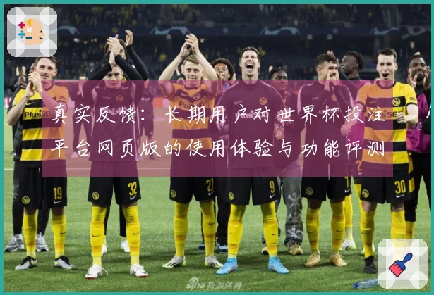 真实反馈：长期用户对世界杯投注平台网页版的使用体验与功能评测