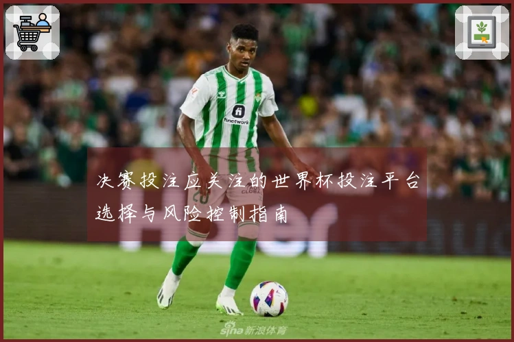 决赛投注应关注的世界杯投注平台选择与风险控制指南
