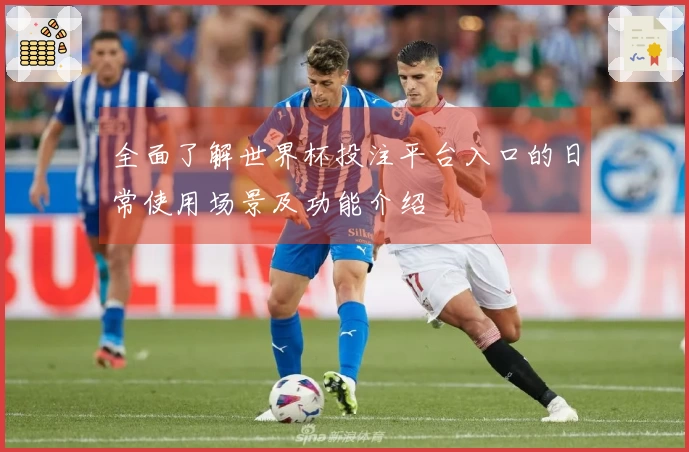 全面了解世界杯投注平台入口的日常使用场景及功能介绍