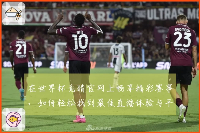 在世界杯竞猜官网上畅享精彩赛事，如何轻松找到最佳直播体验与平台功能介绍