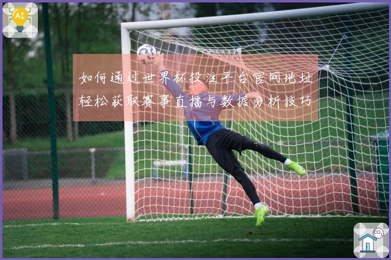 如何通过世界杯投注平台官网地址轻松获取赛事直播与数据分析技巧